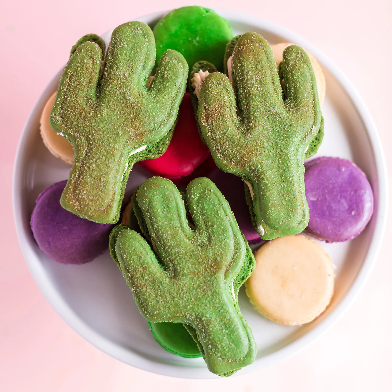 macaronカーキ36 caramelapple-5_600x.png?v=